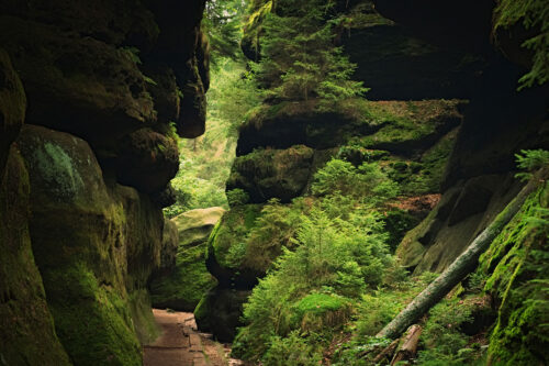 Enge Felsspalten und Wege im Felsenlabyrinth Langenhennersdorf