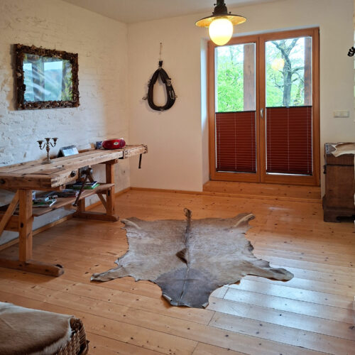 Das Bild zeigt den Wohnbereich in der Erdgeschoss Ferienwohnung in der Luxusboofe in Königstein