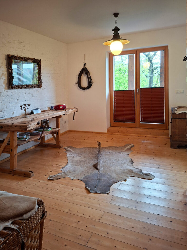 Das Bild zeigt den Wohnbereich in der Erdgeschoss Ferienwohnung in der Luxusboofe in Königstein