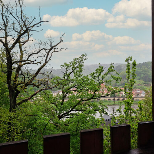 Das Bild zeigt den Blick vom Balkon in der Erdgeschoss Ferienwohnung in der Luxusboofe in Königstein