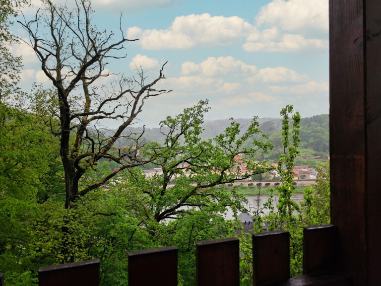 Das Bild zeigt den Blick vom Balkon in der Erdgeschoss Ferienwohnung in der Luxusboofe in Königstein
