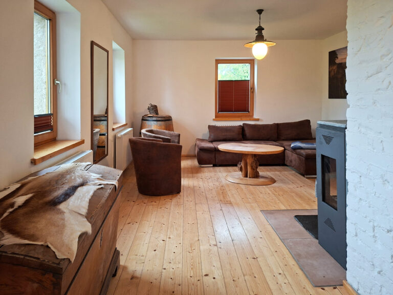 Das Bild zeigt das Wohnzimmer in der Erdgeschoss Ferienwohnung in der Luxusboofe in Königstein