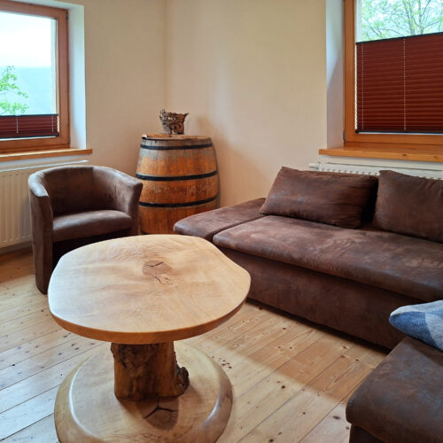 Das Bild zeigt das Wohnzimmer in der Erdgeschoss Ferienwohnung in der Luxusboofe in Königstein