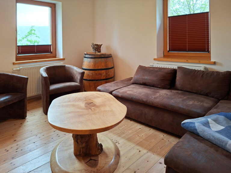 Das Bild zeigt das Wohnzimmer in der Erdgeschoss Ferienwohnung in der Luxusboofe in Königstein