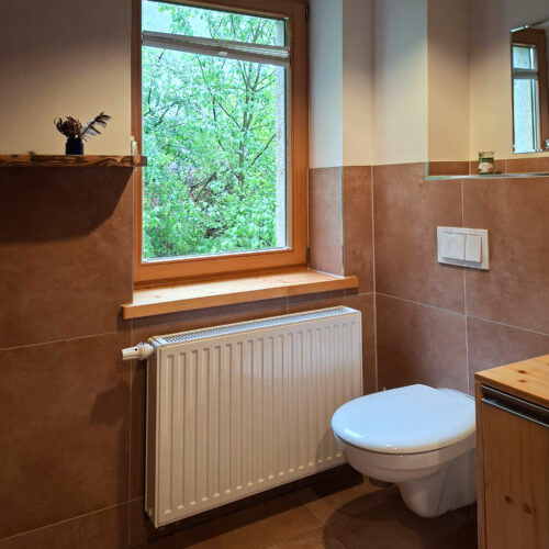 Das Bild zeigt die Toilette im Bad in der Erdgeschoss Ferienwohnung in der Luxusboofe in Königstein
