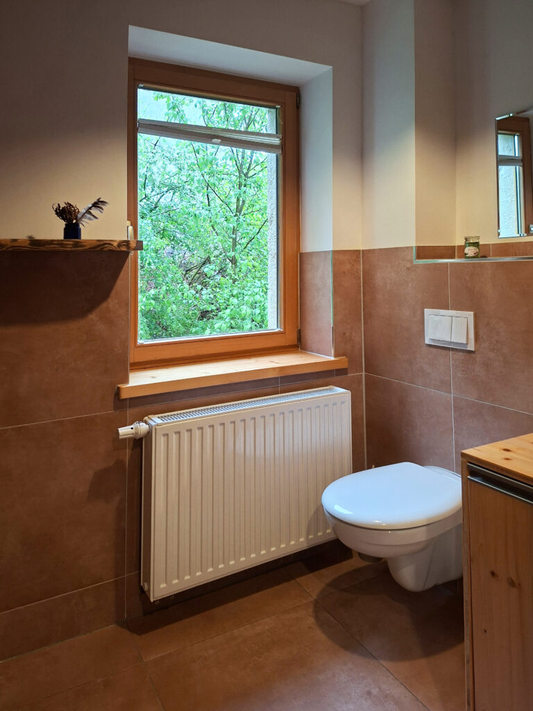 Das Bild zeigt die Toilette im Bad in der Erdgeschoss Ferienwohnung in der Luxusboofe in Königstein