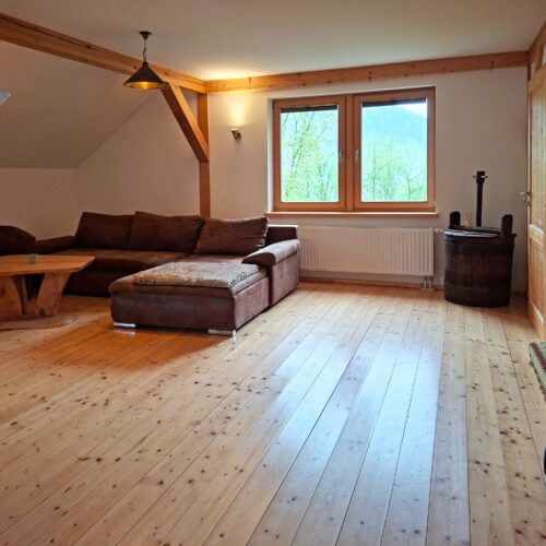 Das Bild zeigt das Wohnzimmer in der Obergeschoss Ferienwohnung in der Luxusboofe in Königstein