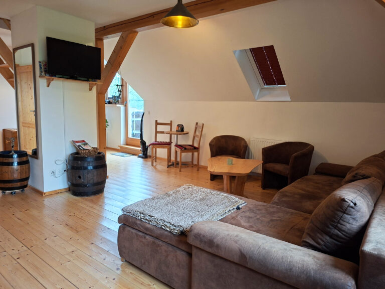 Das Bild zeigt das Wohnzimmer in der Obergeschoss Ferienwohnung in der Luxusboofe in Königstein