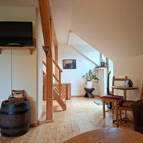 Das Bild zeigt das Wohnzimmer in der Obergeschoss Ferienwohnung in der Luxusboofe in Königstein