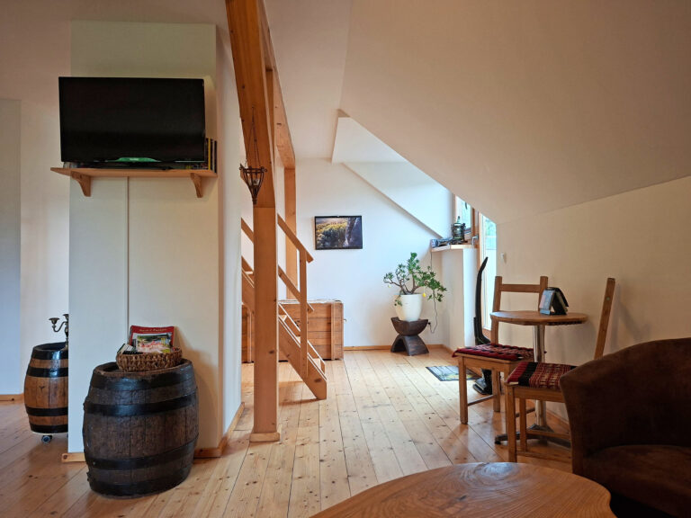 Das Bild zeigt das Wohnzimmer in der Obergeschoss Ferienwohnung in der Luxusboofe in Königstein