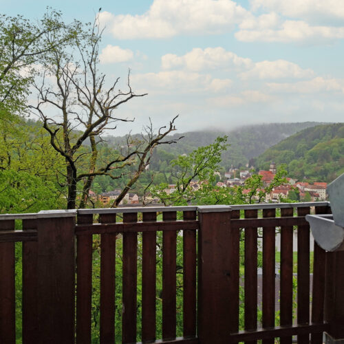 Das Bild zeigt den Blick vom Balkon in der Obergeschoss Ferienwohnung in der Luxusboofe in Königstein