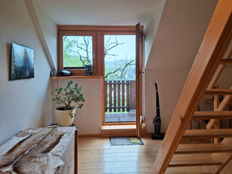 Das Bild zeigt den Blick auf den Balkon in der Obergeschoss Ferienwohnung in der Luxusboofe in Königstein