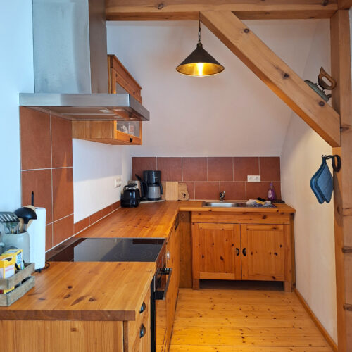 Das Bild zeigt die Küche in der Obergeschoss Ferienwohnung in der Luxusboofe in Königstein