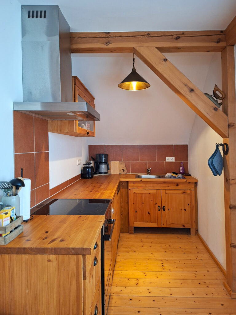 Das Bild zeigt die Küche in der Obergeschoss Ferienwohnung in der Luxusboofe in Königstein