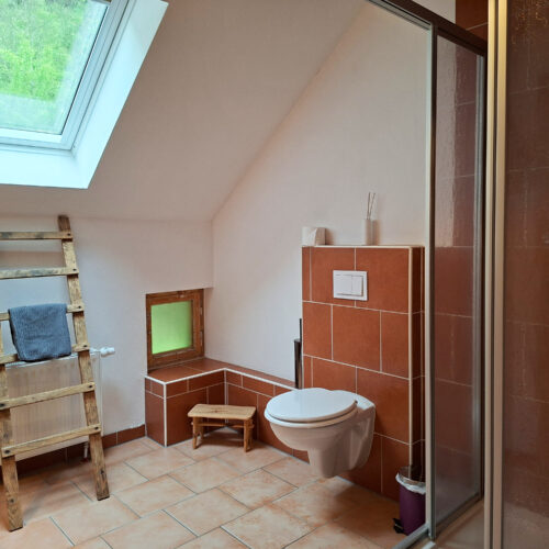 Das Bild zeigt das Bad mit Dusche in der Obergeschoss Ferienwohnung in der Luxusboofe in Königstein