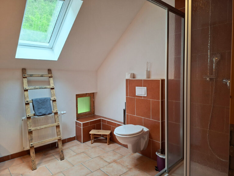 Das Bild zeigt das Bad mit Dusche in der Obergeschoss Ferienwohnung in der Luxusboofe in Königstein