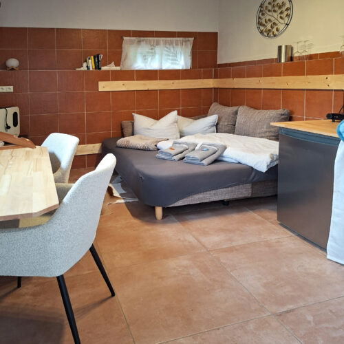 Das Bild zeigt das Zimmer mit Miniküche und Schlafcouch in der Untergeschoss Ferienwohnung in der Luxusboofe in Königstein
