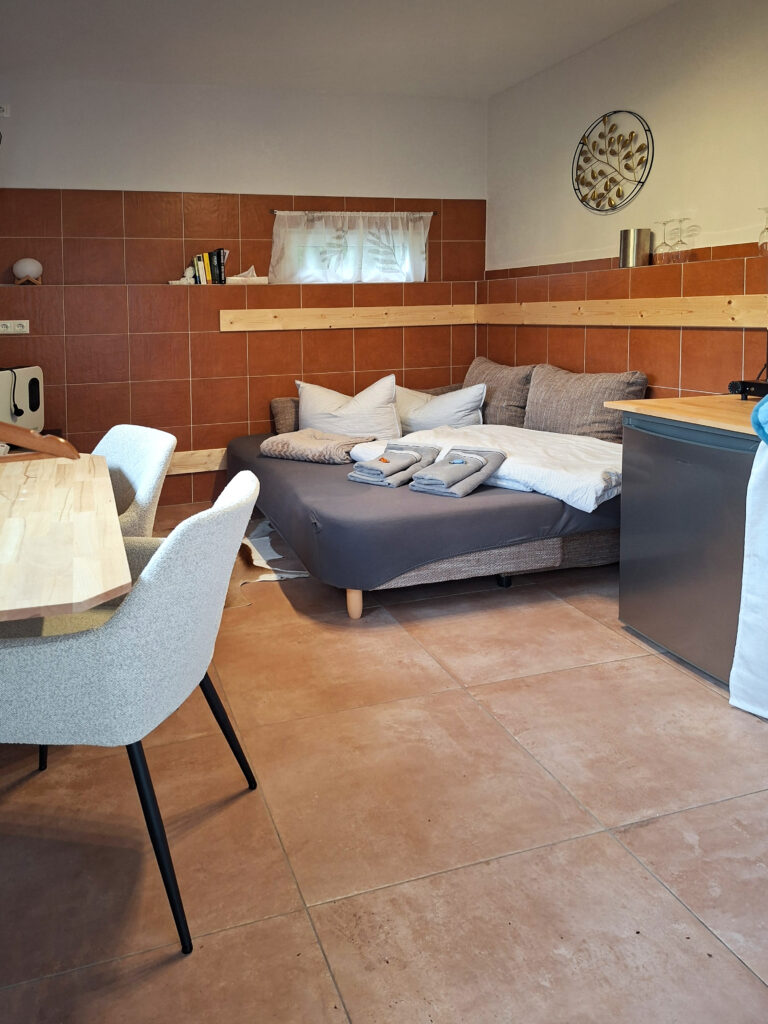 Das Bild zeigt das Zimmer mit Miniküche und Schlafcouch in der Untergeschoss Ferienwohnung in der Luxusboofe in Königstein